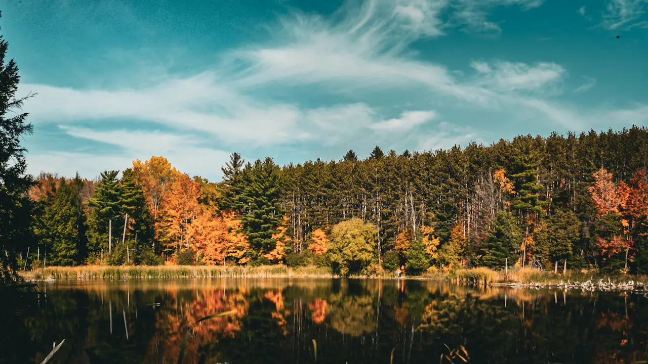 Autumn trees reflected in a still pond in Kitchener
