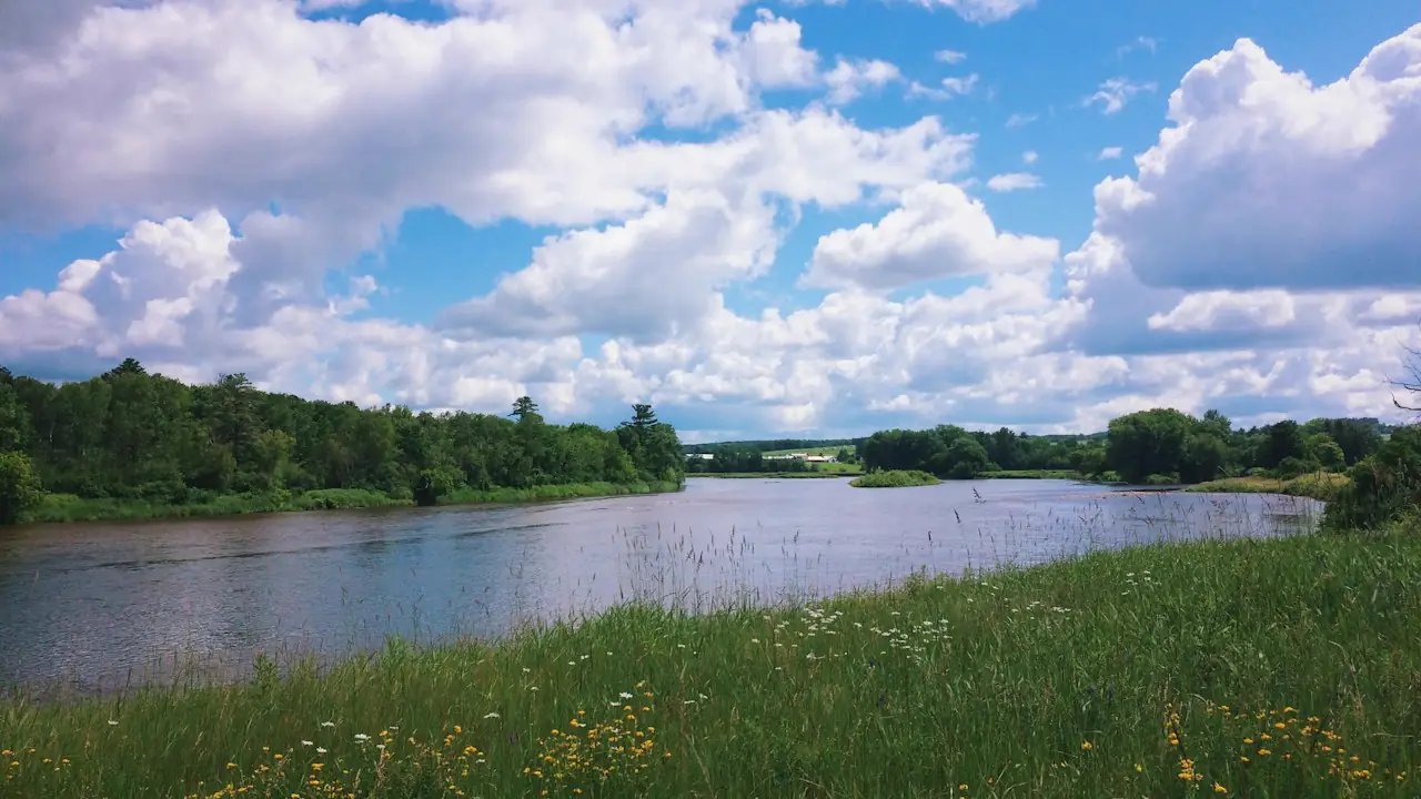 A river winding through green fields in Sherbrooke under a bright sky