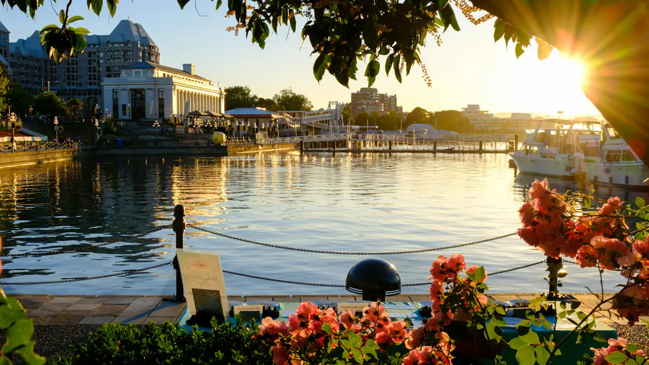 The sun setting over the harbour in Victoria, framed by red flowers