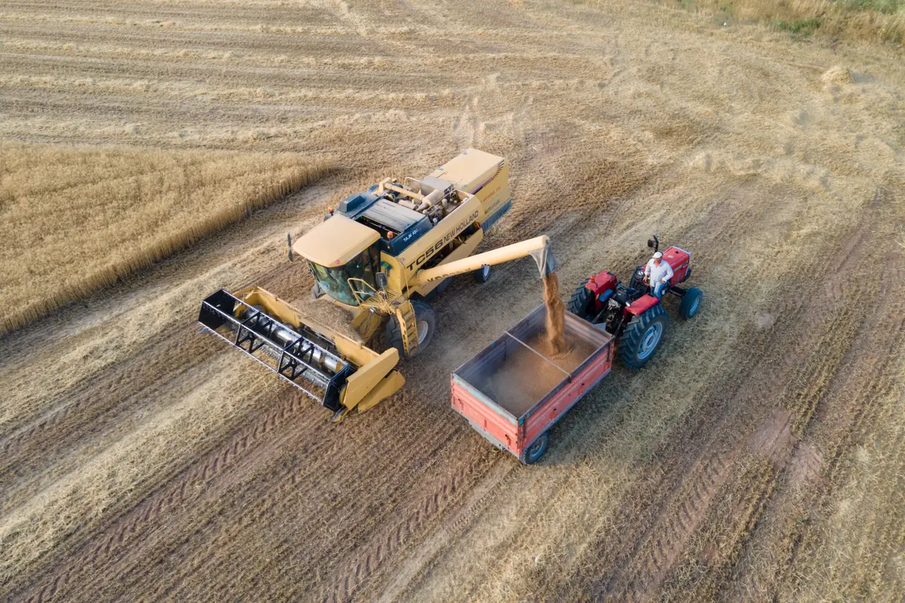 Aerial view of a combine harvester unloading grain into a trailer during harvest