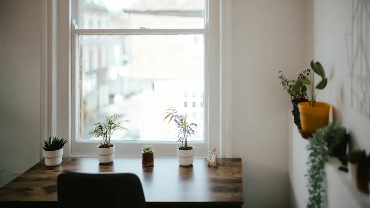 A wooden desk under a bright window, lined with small potted plants
