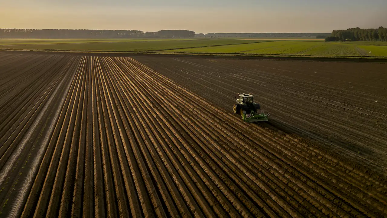 A tractor working long rows of a ploughed field at sunset