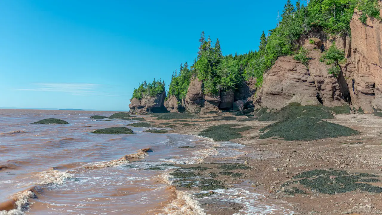 The Hopewell Rocks on the Bay of Fundy at low tide under a bright sky