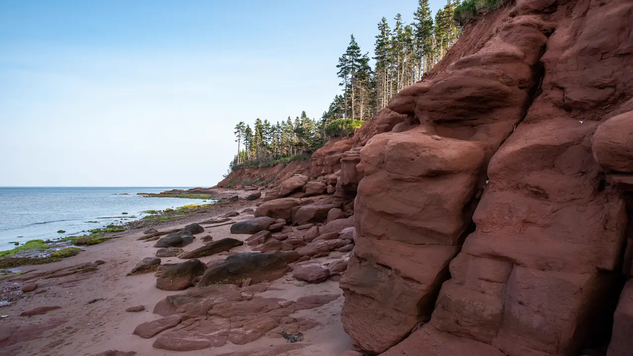 Red sandstone cliffs and spruce trees along the Prince Edward Island shore