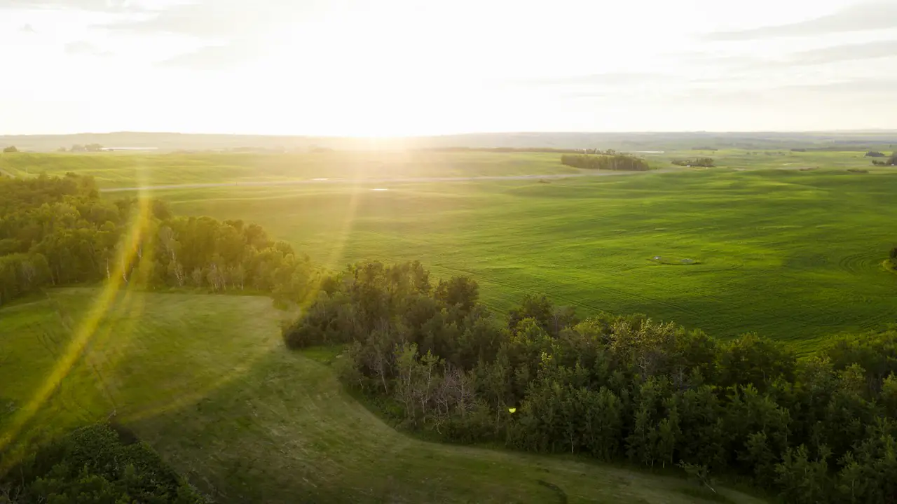 Green fields and stands of trees under a low morning sun