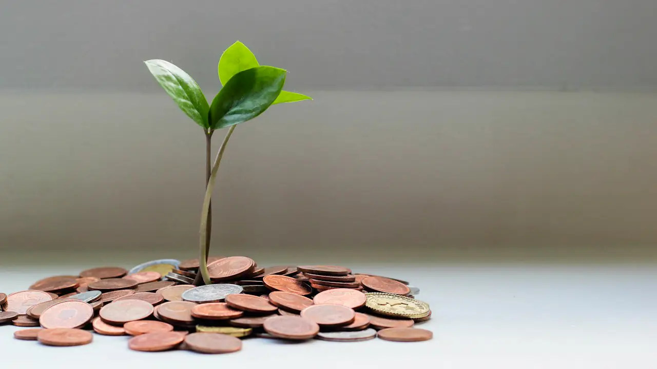A green seedling growing out of a small pile of coins