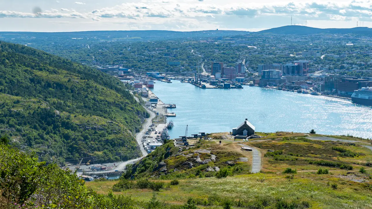 St. John's harbour and downtown seen from the green hillside above the Narrows