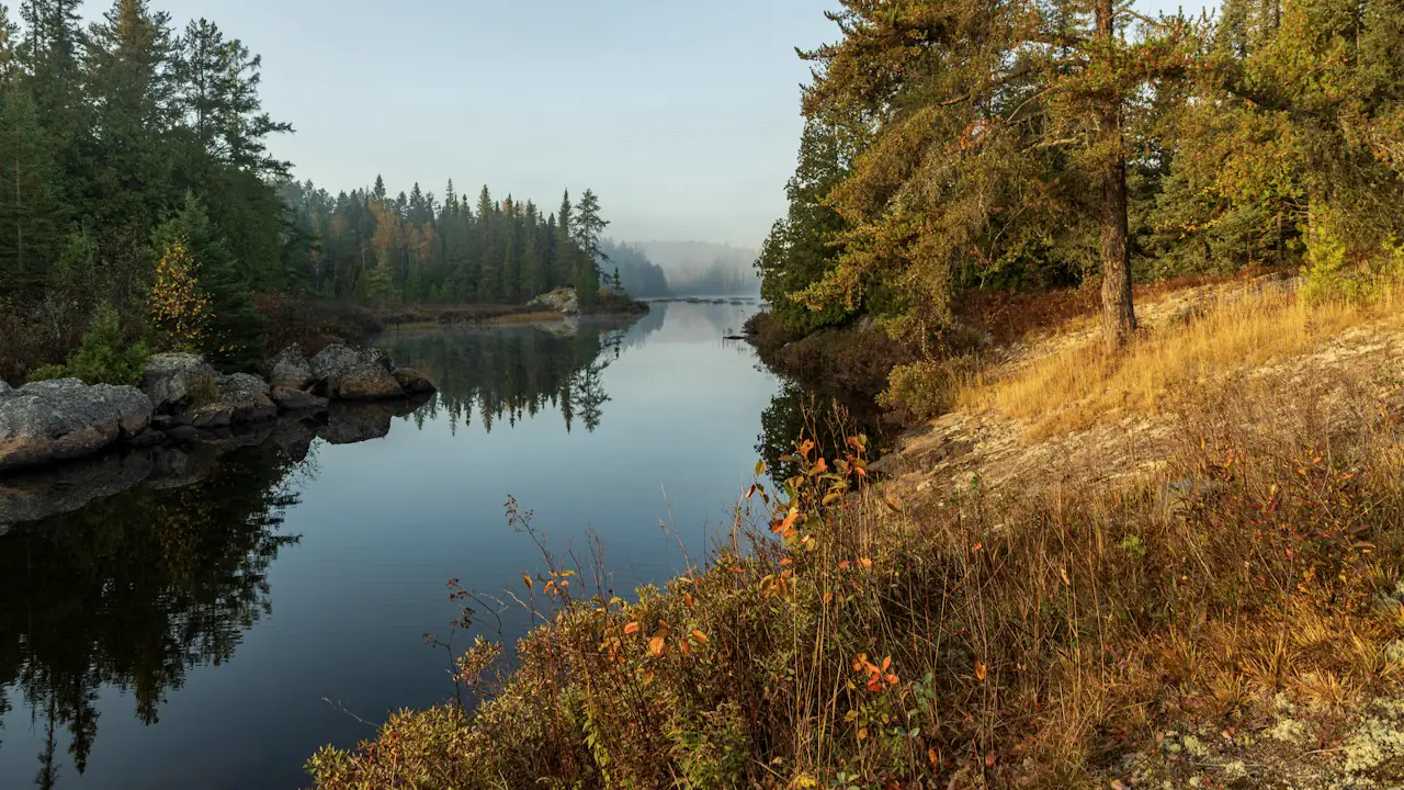Pine trees and pink granite along a calm lake on an autumn morning
