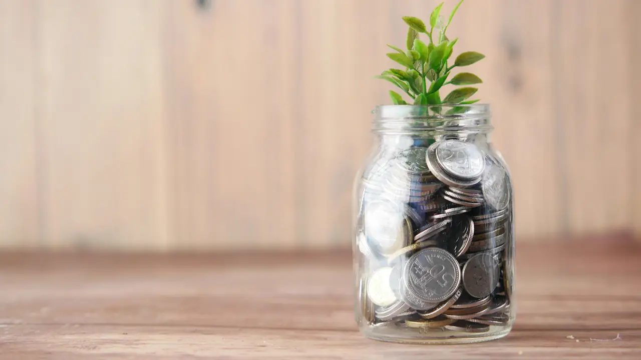 A glass jar of coins with a green seedling growing from the top