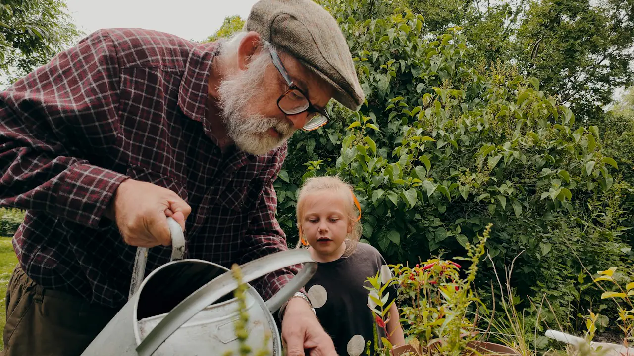 A grandfather in a flat cap watering plants while his young granddaughter watches