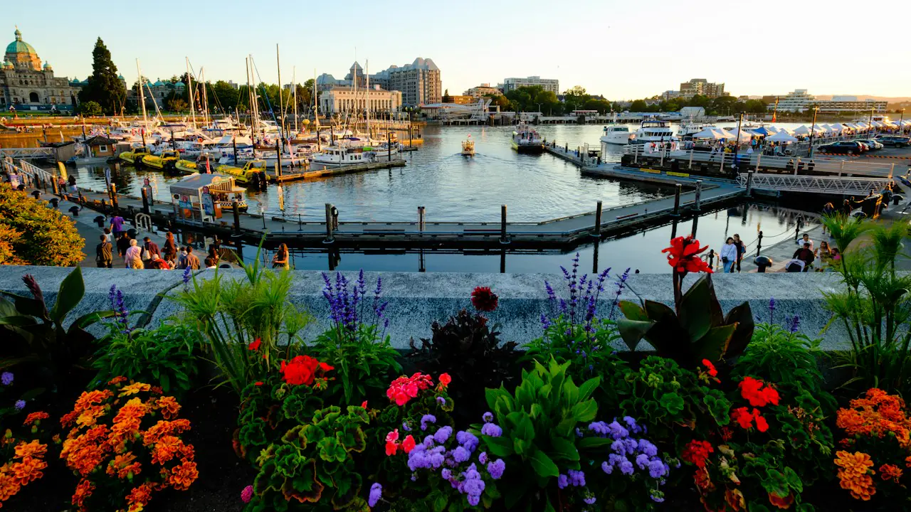 Bright flower beds above the marina in Victoria's Inner Harbour on a summer evening