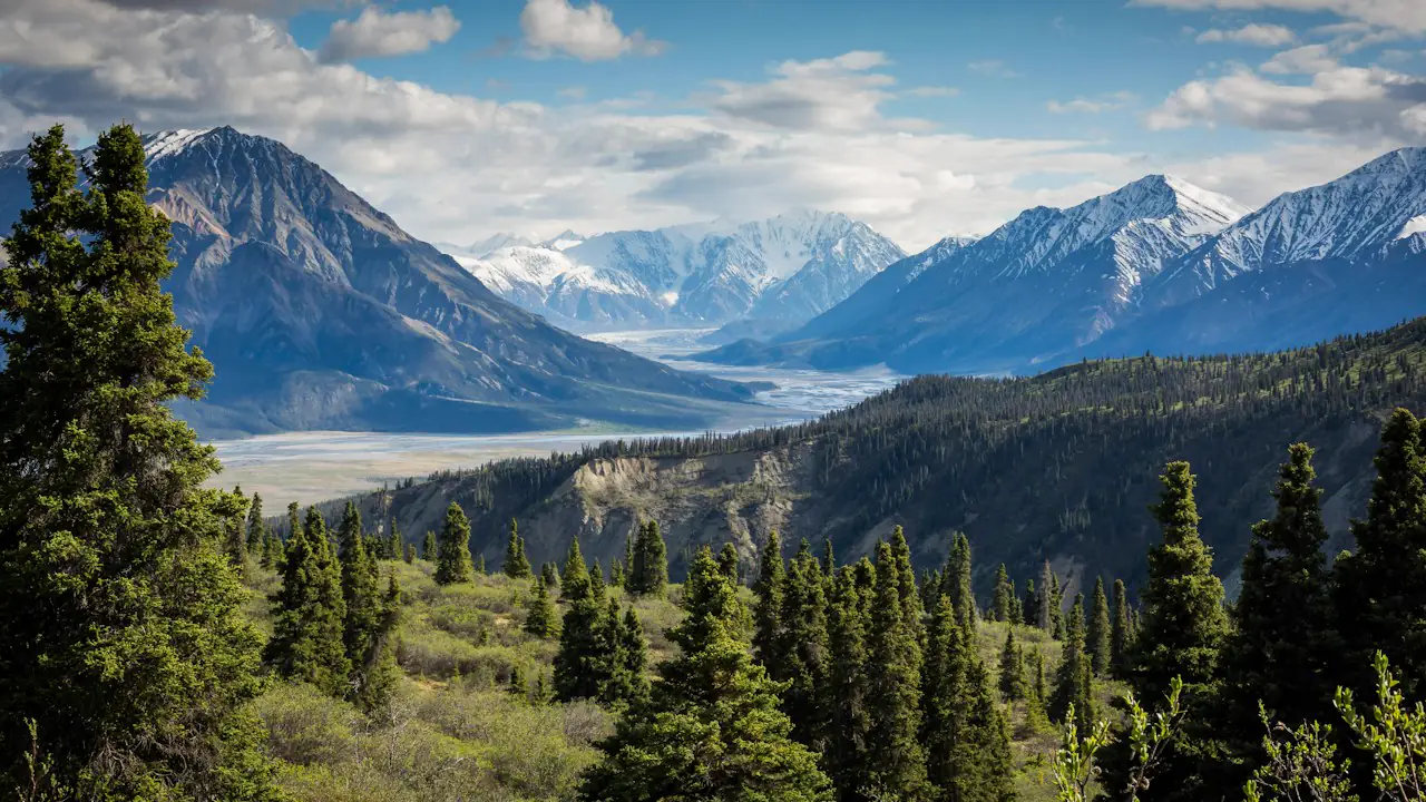 Snow capped Kluane mountains rising above spruce forest and a wide valley in Yukon